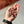 Cargar imagen en el visor de la galería, Bison Lung Training Bites - Freeze Dried