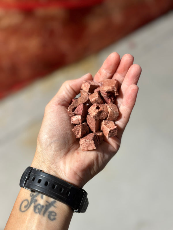 Bison Lung Training Bites - Freeze Dried