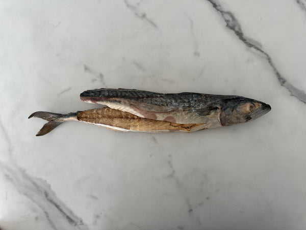 Salmón Rojo - Liofilizado