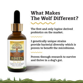 The Wolf | Adored Beast Apothecary