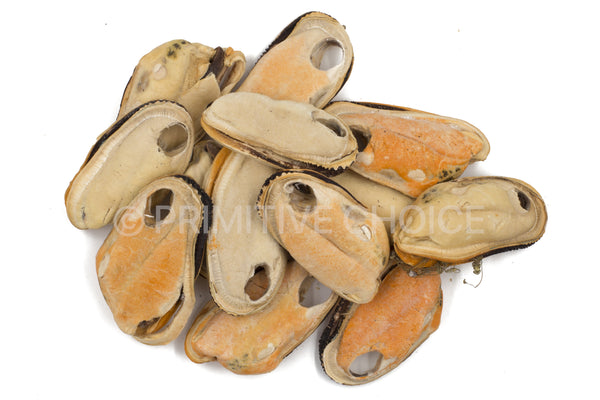 Mejillones de Labio Verde - Liofilizados