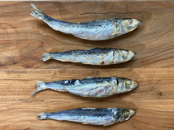 Sardinas - Liofilizadas