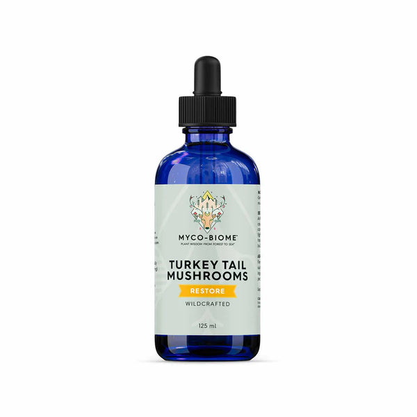 Turkey Tail | Adored Beast Apothecary