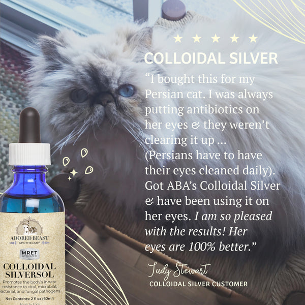 Colloidal SilverSol | Adored Beast Apothecary