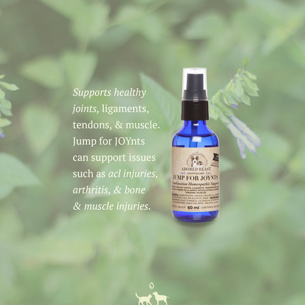 Jump for JOYnts | Adored Beast Apothecary