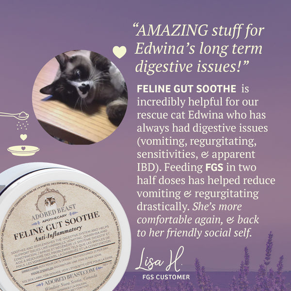 Feline Gut Soothe | Adored Beast Apothecary