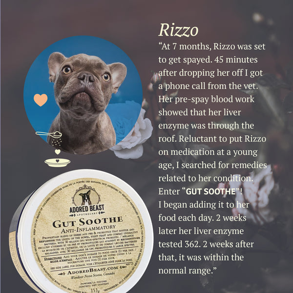 Canine Gut Soothe | Adored Beast Apothecary