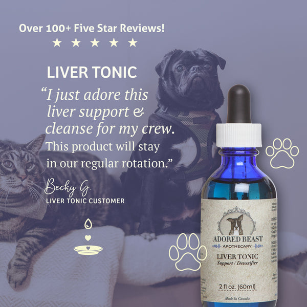 Liver Tonic | Adored Beast Apothecary