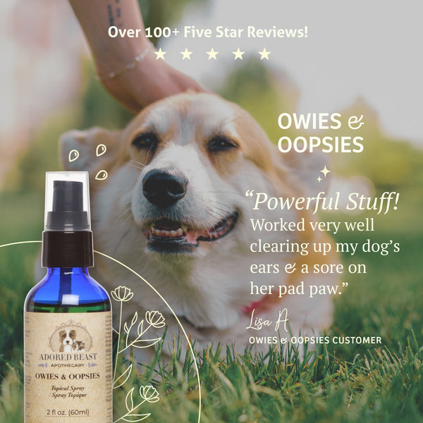 Owies and Oopsies | Adored Beast Apothecary