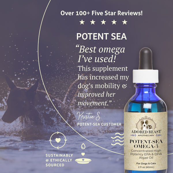 Potent-Sea Omega 3 | Adored Beast Apothecary