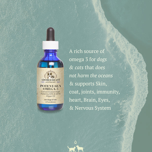 Potent-Sea Omega 3 | Adored Beast Apothecary