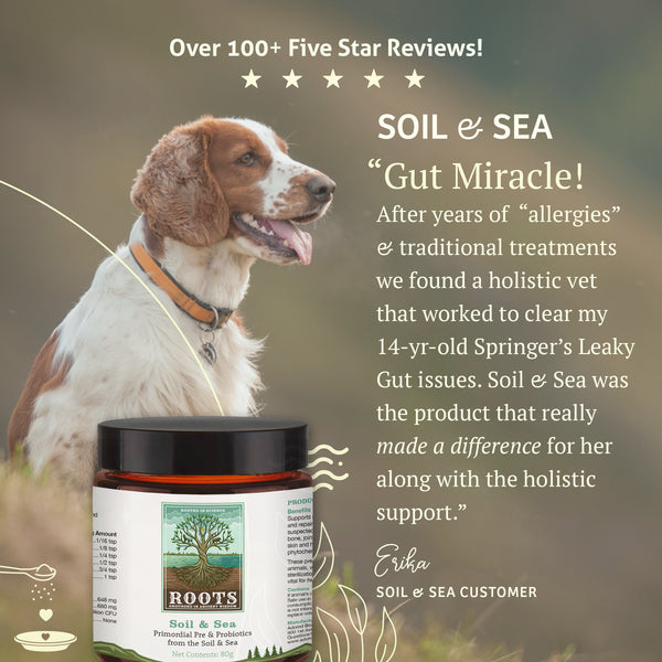 Soil & Sea | Adored Beast Apothecary