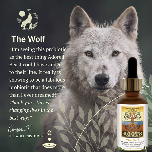 The Wolf | Adored Beast Apothecary