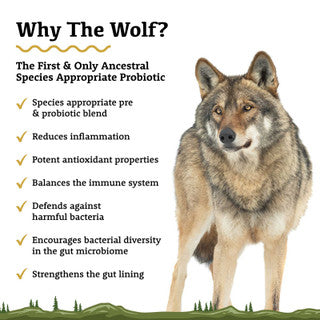 The Wolf | Adored Beast Apothecary