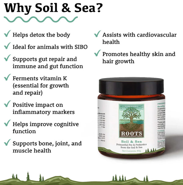 Soil & Sea | Adored Beast Apothecary