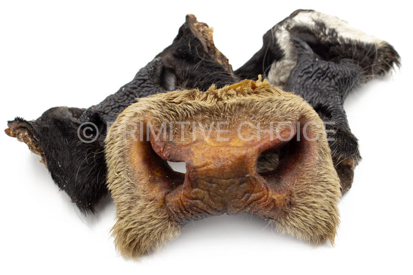 Beef Nose With Hair - Dehydrated